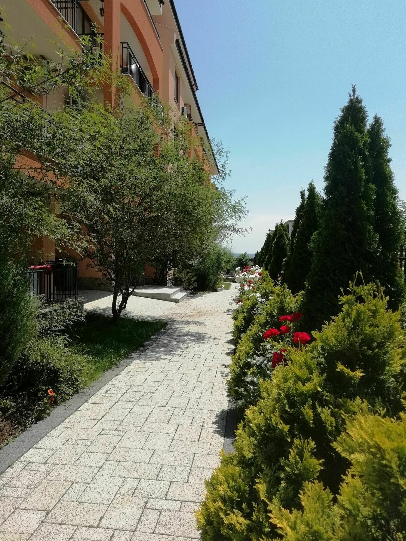 Stardreams Apartments Sveti Vlas Buitenkant foto